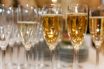 Rows of glasses with champagne on the table. Holidays and events. Close-up.