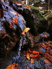 Clear water on small waterfall in a beautiful mountain stream. Colorful autumn forest