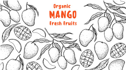 Ripe mango sketch. Hand drawn vector illustration. Tropical fruit. Packaging design, menu design, juice packaging. Mango frame.