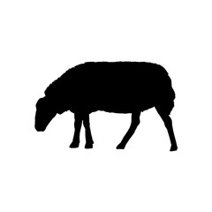 silhouette of sheep	