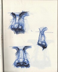 Anatomía de una nariz de diferentes vistas.