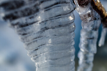 Macro Winter Ice