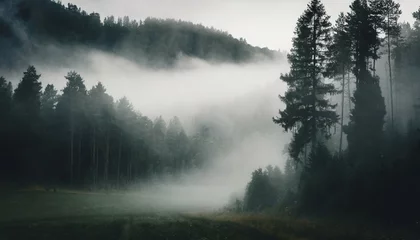 Zelfklevend Fotobehang Mistige ochtendstond moody forest landscape with fog and mist