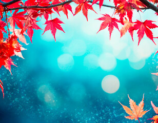 Autumn leaves with background blue color