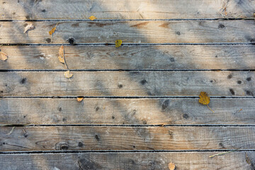 In autumn, the wooden walking path is covered with frost