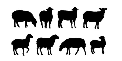 set of silhouettes of sheep	 - obrazy, fototapety, plakaty