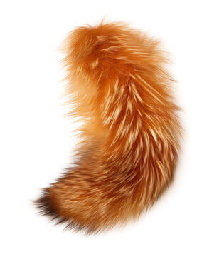 A fox tail isolated on transparent background