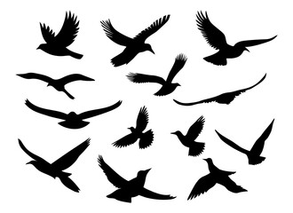 Set of black silhouettes of flying birds.