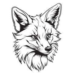 Obraz premium Fox. Graphic, sketch, black and white, hand-drawn portrait of a Fox head on a white background.