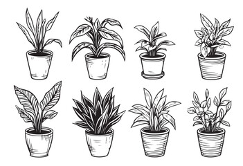 Vector set of sketches house plants in pots on a white background Vector illustration - obrazy, fototapety, plakaty