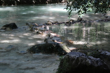 Waterfall in chiapas mexico