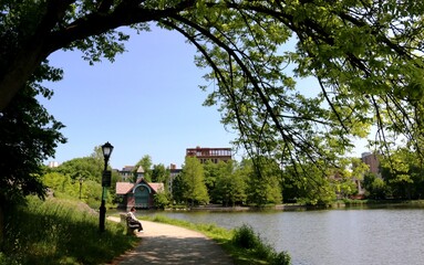 green, nature, park, NY, central, 