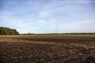 Feld nach der Bodenbearbeitung