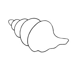 Line sketch, seashell doodle. Decorative vector element.