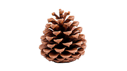 Pine cone isolated on transparent background, PNG image with background removed, Created with Generative Ai technology.