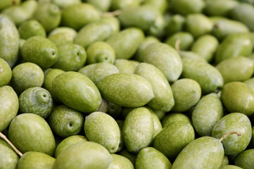 Top down view of freshly harvested, clean and ready to be used green olives