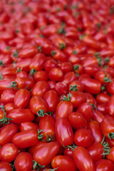 A lot of freshly harvested tomatoes on a market stall, closeup, vertical, background