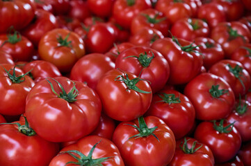 A lot of freshly harvested tomatoes on a market stall, closeup background