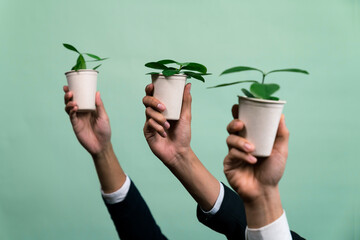 Business people hand holding plant pot on isolated background. Reforestation and eco-conscious...