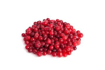 Frozen Lingonberry, Iced Cowberry, Snow Cranberry, Red Viburnum Berries, Frozen Lingonberry