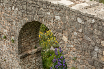 Old town Bar. Montenegro.