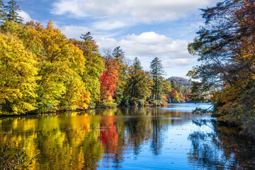 Autumn Color Trees on the Cullasaja River in North Carolina