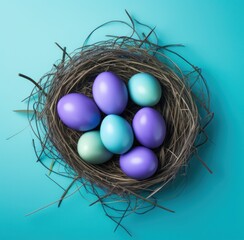Naklejka na ściany i meble blue blue easter eggs nest on flat,