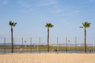 Sandy Beach by Palm Trees at the Tropical Coastline, beach with ocean, palm tree, and sandy shore