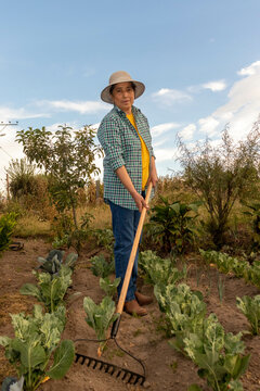 Mujer adulta latinoamericana usando el rastrillo en su huerta organica, a anocheser con un cielo azul 