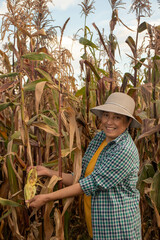 Mujer latina adulta mayor felíz sonriendo indicando los dientes esta indicando una planta de maíz...