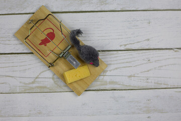 Toy mouse near a triangular piece of cheese in a mousetrap a second before being caught on a white...