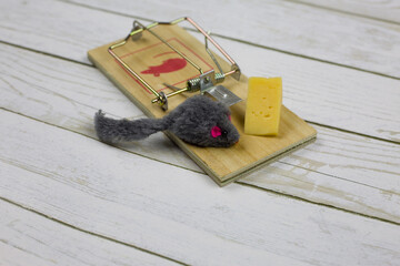 Small furry mouse toy next to a triangular piece of cheese in a mousetrap a second before death....