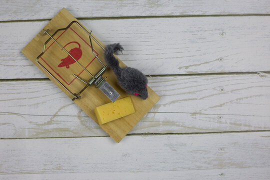 Toy mouse near a triangular piece of cheese in a mousetrap a second before being caught on a white wooden floor, top view