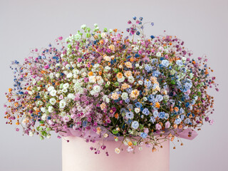 bouquet of gypsophila of different colors isolated on white