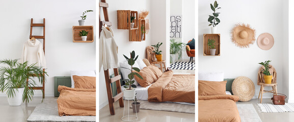 Collage of stylish interior of bedroom with houseplants