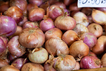 Bunch of bulbs lie on counter in vegetable shop