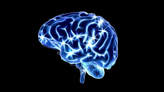 Human Brain - Glowing Blue - Sparkling Energy - Spinning Loop