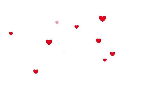 Red hearts animation on white background. Valentines day, wedding, birthday video effect. Motion element decoration. 4k. 60 fps.