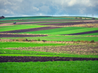 Obraz premium farm landscape with green fields and geometric lines from green wheat and ground
