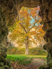 view to yellow autumn tree from stone cave and frame