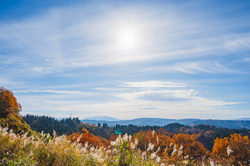 Fototapeta premium 新潟 秋の風景（十日町）