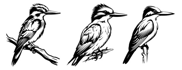 Kingfisher Silhouettes Set