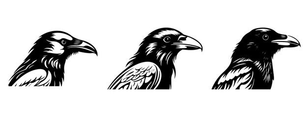 Set of craw silhouette.