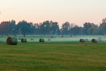 Hay in rolls laying in a foggy field in the morning