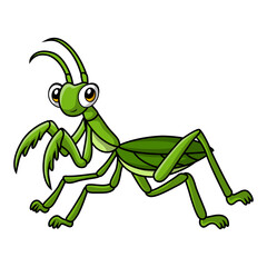 Cute mantis cartoon on white background