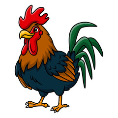 Cute rooster cartoon on white background