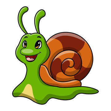 Cute snail cartoon on white background