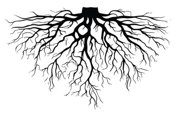 Root of the tree. Black silhouette. Plant root system. Realistic black roots illustration. A Monochrome Illustration of Nature's Strength and Growth. Isolated on white background. Vector illustration. - obrazy, fototapety, plakaty