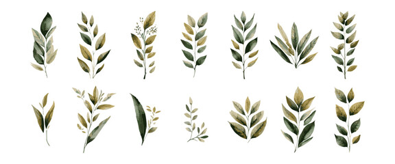 Enhance Your Designs with a Tranquil Botanical Vibe: Vector Illustration Set of Greenery in Soothing Shades.