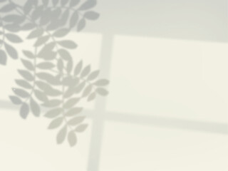 植物の葉と窓の枠の影が壁に映る背景